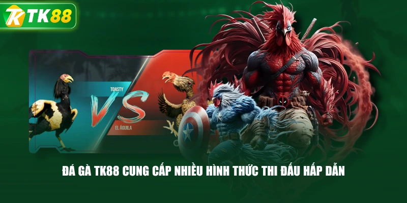 Đá Gà TK88 Cung Cấp Nhiều Hình Thức Thi Đấu Hấp Dẫn 